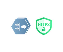 采用VPN或HTTPS等加密手段保护业务应用
